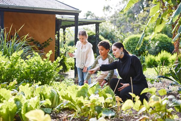 Elizabeth Farm school holidays shoot