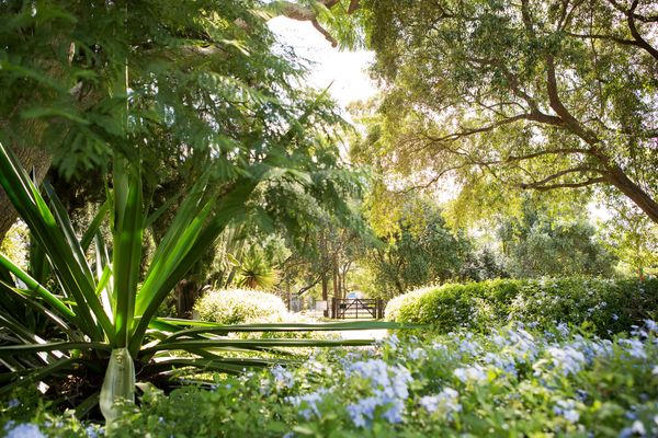 View of the garden at Elizabeth Farm