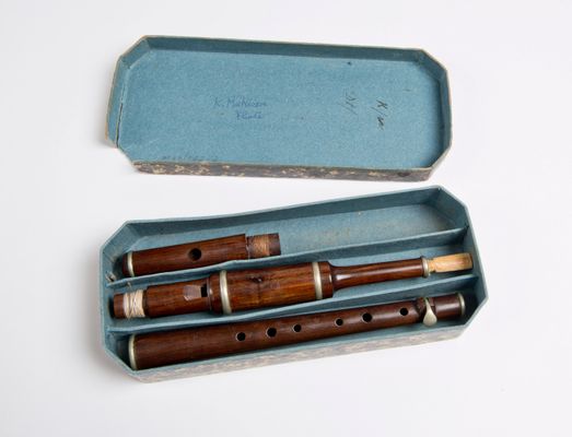 Cardboard box containing flageolets with woodgrain finish